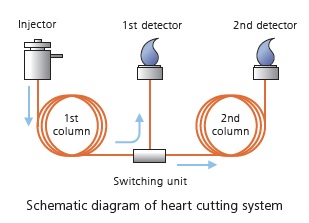 Heart cutting system
