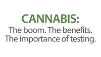 Cannabis: The boom. The Benefits. The importance of Testing