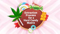 Extraction Process for a Cannabis Hard Candy Matrix