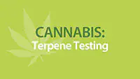 Cannabis Terpenes Testing
