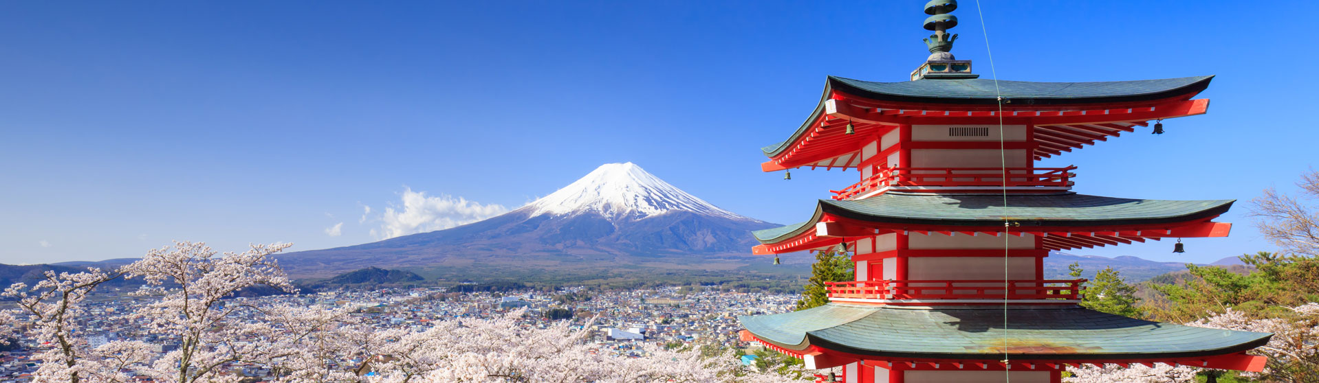 Mt Fuji with blossoms in Japan