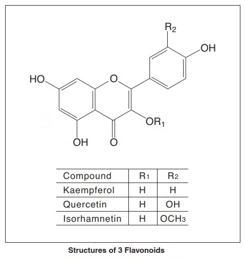 Structures of 3 Flavonoids