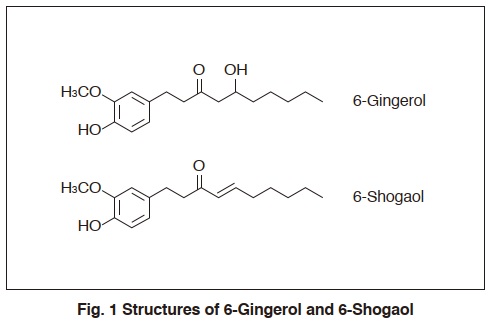 Structures of 6-Gingerol and 6-Shogaol