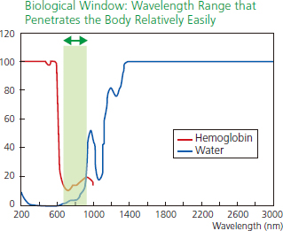 Fig.1 Absorbance of Water and Hemoglobin in the Infrared Wavelength Range