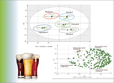 Quality Evaluation Methods Involving Total Analysis of Metabolites in Beer