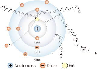 Electron Paths and Principle of X-ray Generation Expressed as a Bohr Model