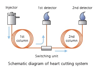 Schematic diagram of heart cutting system