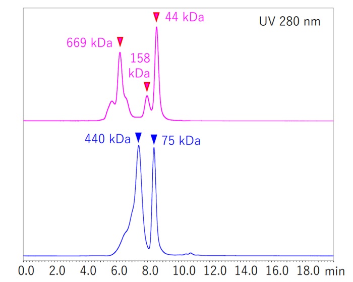 Chromatograms of Water-Soluble Polymer Standard Solution
