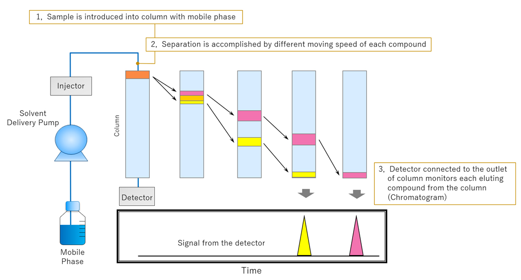 An Example of HPLC Separation