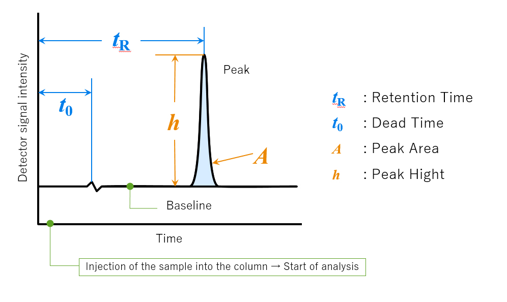 Chromatogram and Related Terms