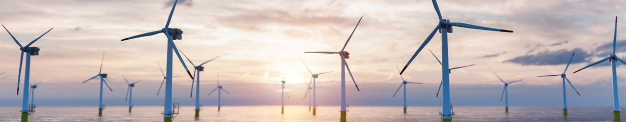 Renewable Energy