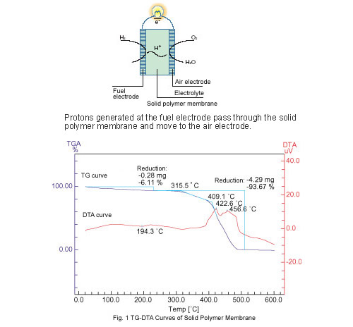 Protons generated at the fuel electrode pass through the solid polymer membrane and move to the air 