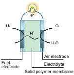 Water Melting Process in Solid Polymer Membranes (DSC) 