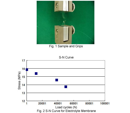 Durability Testing of Electrolyte Membranes in Solid Polymer Membrane Fuel Cells