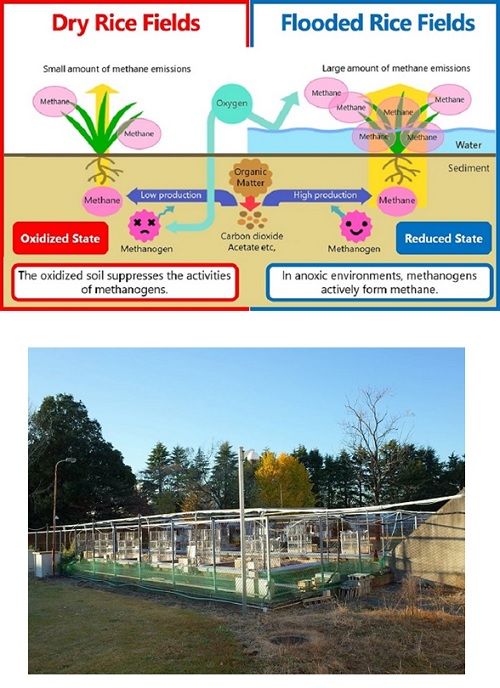 Greenhouse gas 