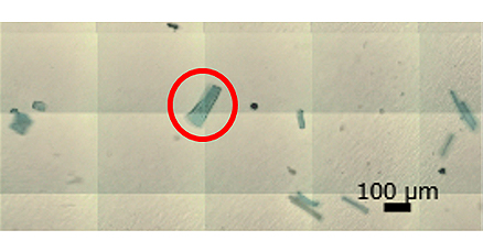 Fig. 3 Visual Observation Image