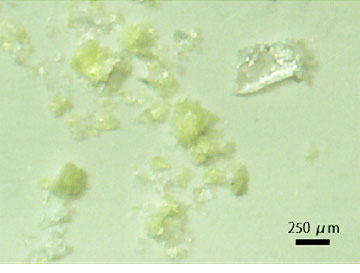 Microplastics on the Filter