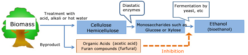 BIOMASS