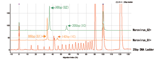 Electropherogram of Samples Treated with G1 and G2 Norovirus Detection Reagent Kit