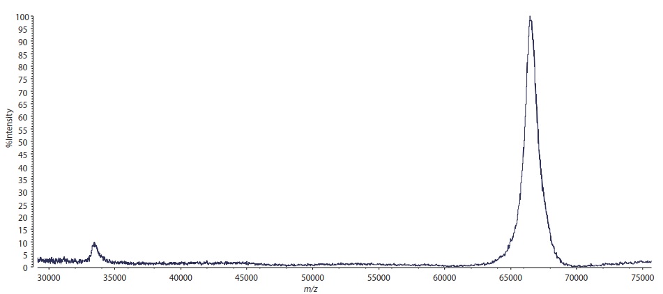 Fig. 2 Mass Spectrum of a Trace Amount of Protein (Bovine Serum Albumin)