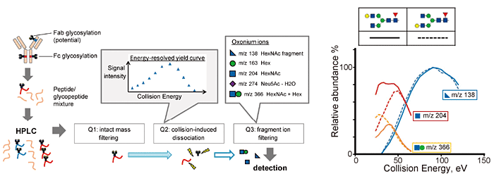 Reference: A Toyama. et al., Anal. Chem. 2012, 84, 9655−9662