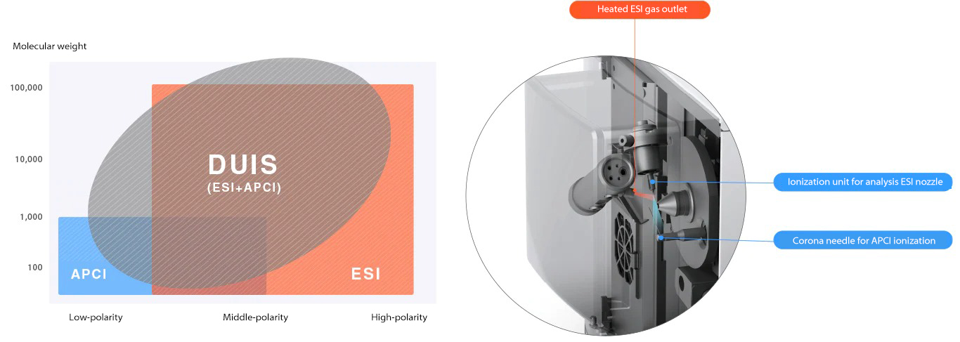 Dual ion source