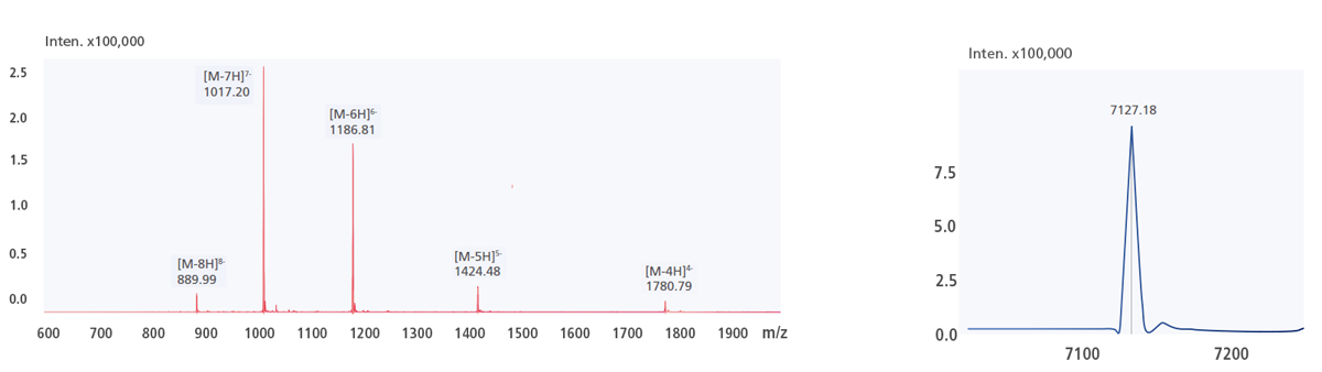 Nusinersen Mass Spectrum and Deconvolution Results