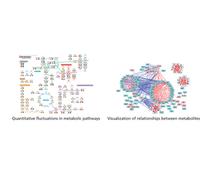 Intestinal Flora Research