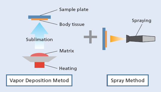 Two-Step Vapor Deposition