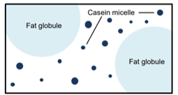 Fig.2