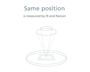 Both FTIR and Raman Spectra Can Be Measured without Moving Samples