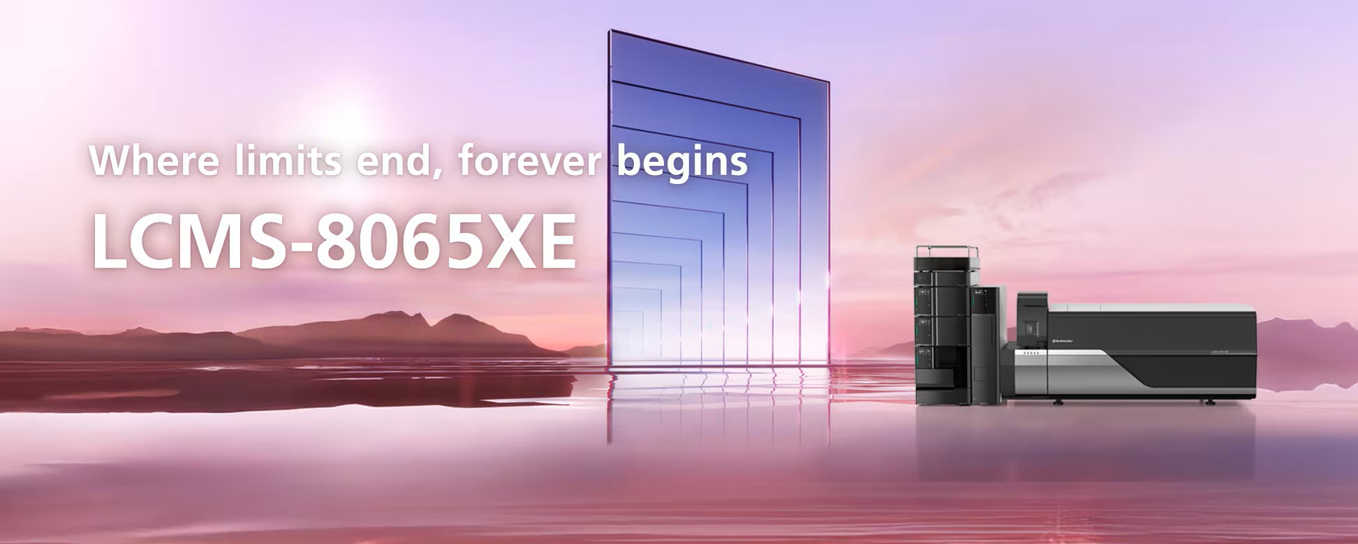 LCMS-8065XE