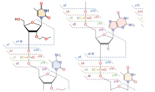 Depiction of the Structural Formula