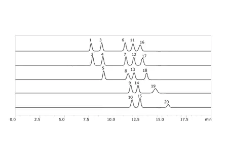 Chromatographic Separation of Various Sugars