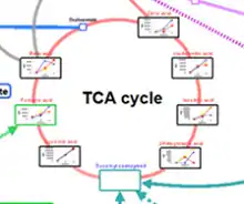 Multi-omics Analysis Package Supports Data Analysis