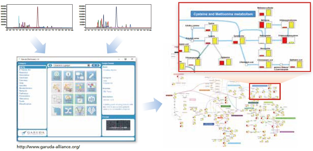 Visualization of simultaneous analysis results from the PFPP column method, created with the Multi-omics Data Analysis Package