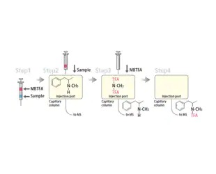 On-Column Derivatization GC-MS System