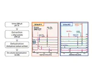 On-Column Derivatization GC-MS System