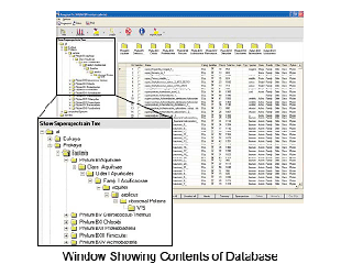 341 - AXIMA Microorganism Identif...