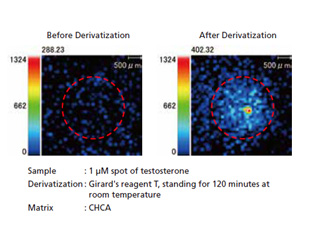 Applicable to Pretreatment Other than Matrix Coatings