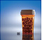 The Oxytocin Revolution - Saving lives of mothers after childbirths in the third world -
