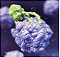 Paradigm Shift in Cancer Diagnosis: Basics and Algorithm
