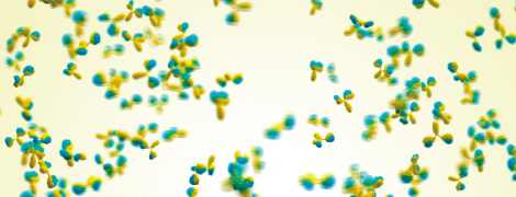 Method Optimization for the Analysis of Monoclonal Antibodies by Size-Exclusion Chromatography