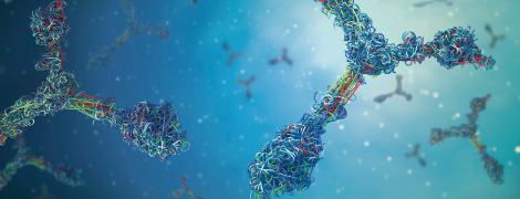 Seamless Process from Protein Purification to Evaluation